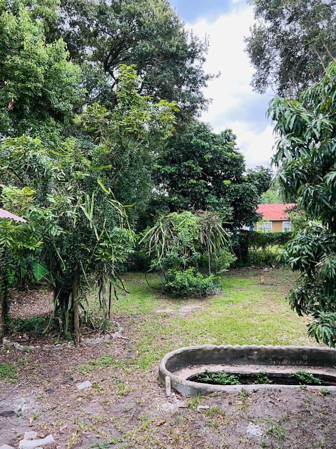 3Bdrm Fruit Tree Home Near Downtown Орландо Экстерьер фото